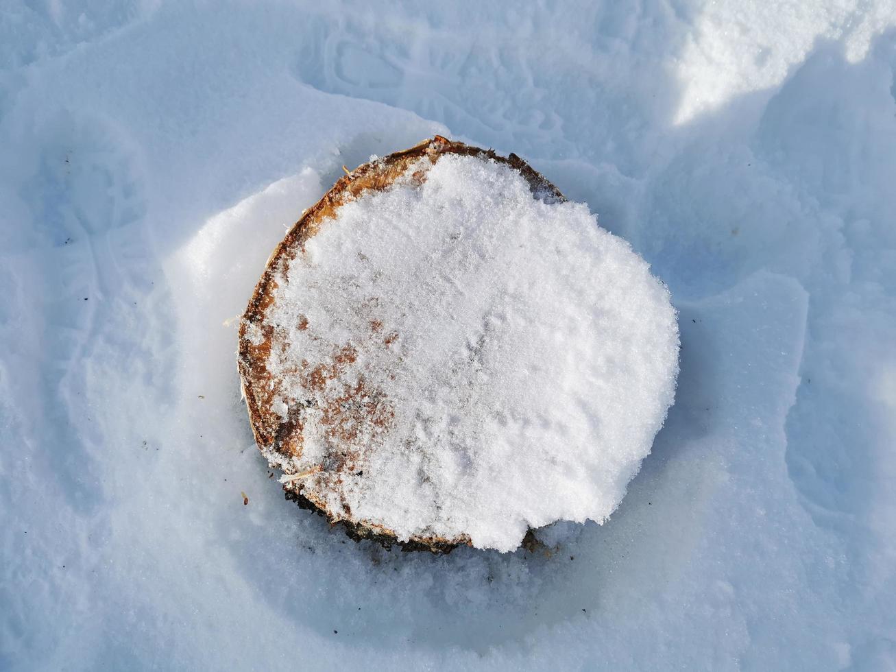 Wintertag im russischen Dorf Schnee gut blauer Himmel foto