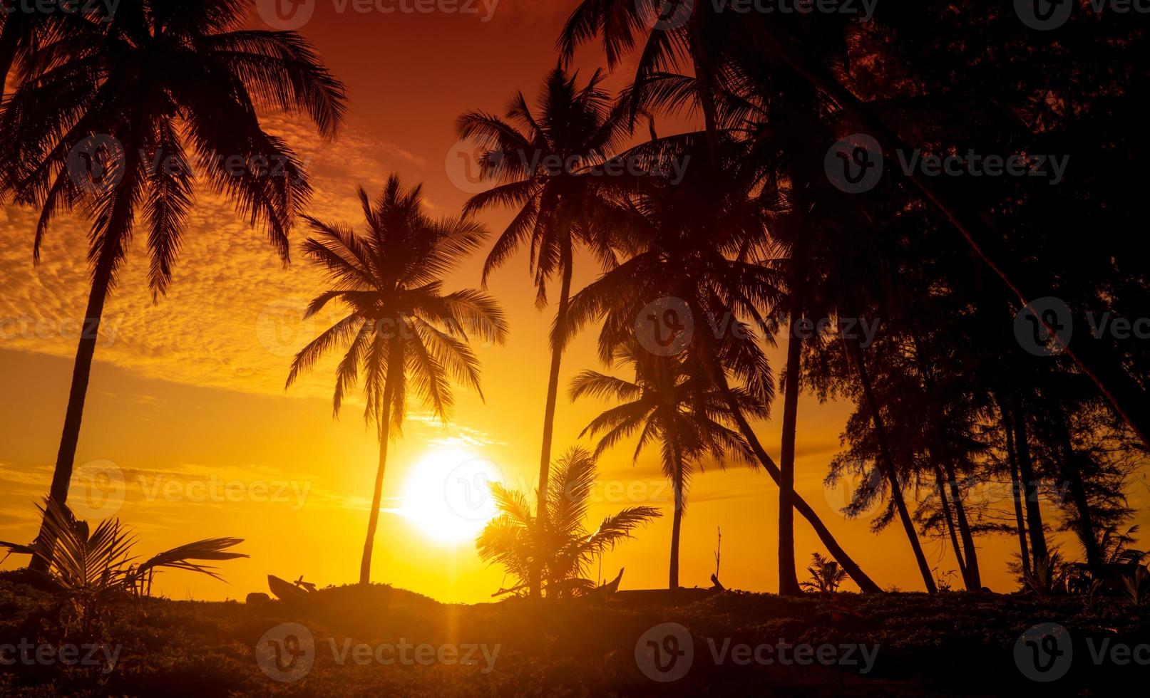 tropisches Sonnenuntergangspanorama mit Kokospalmen foto