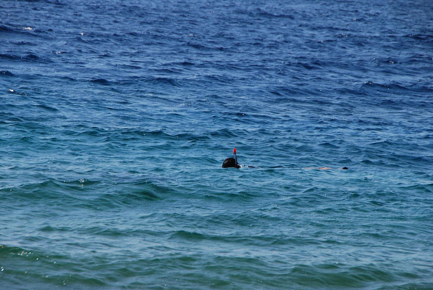 Schnorcheln im Meer foto