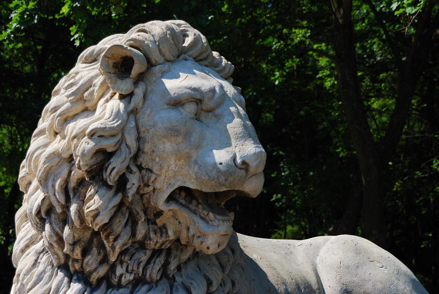 Löwenstatue aus Stein in einem Schloss foto