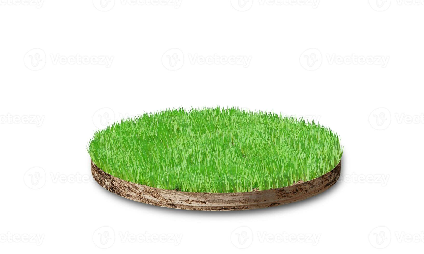 Boden runder Querschnitt mit Gras isoliert auf weißem Hintergrund. 3D-Rendering foto