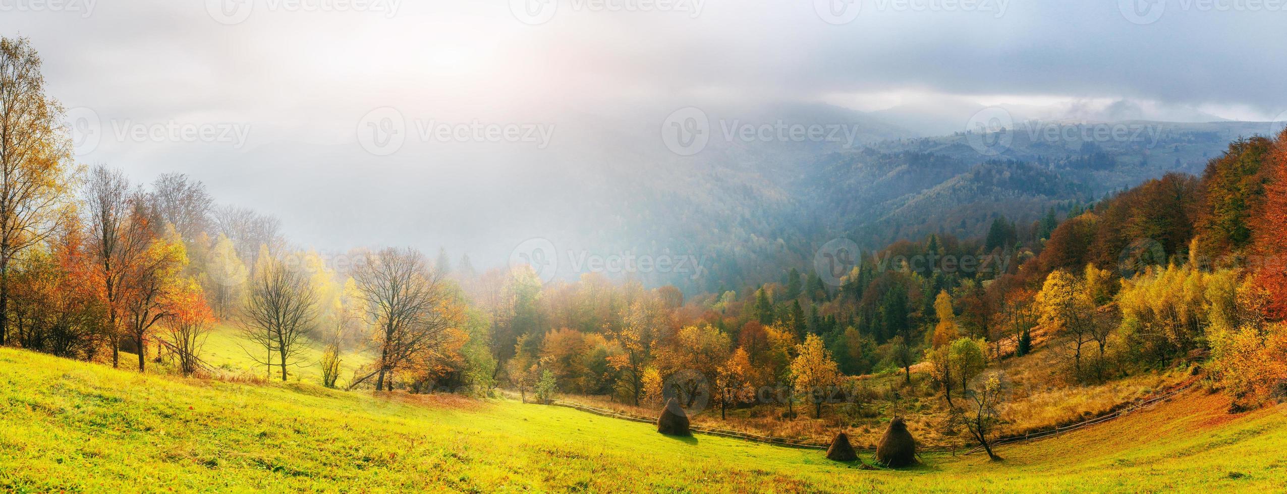 fantastischer Wald in der Karpaten-Ukraine. es kommt ein goldener Herbst in die Täler. foto