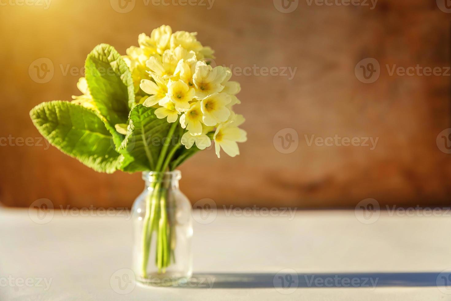 Ostern-Konzept. Blumenstrauß aus Primel Primel mit gelben Blumen in Glasvase auf Holzhintergrund. inspirierender natürlicher blumenfrühling oder blühender sommerhintergrund. Platz kopieren. foto