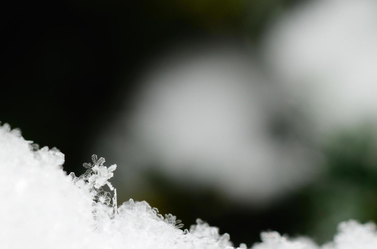 schöner Schneekristall foto