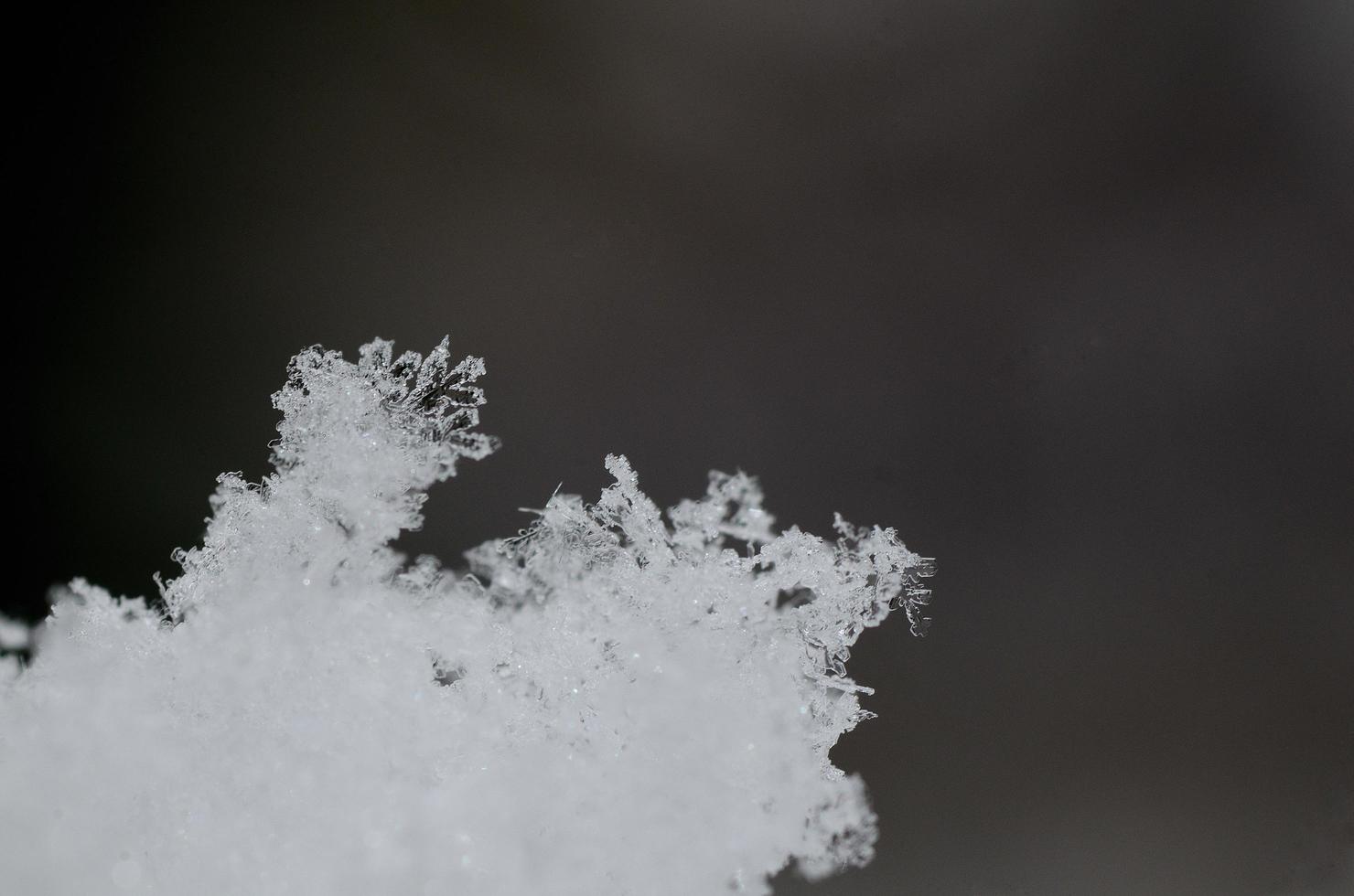feine Kristalle im Schnee foto