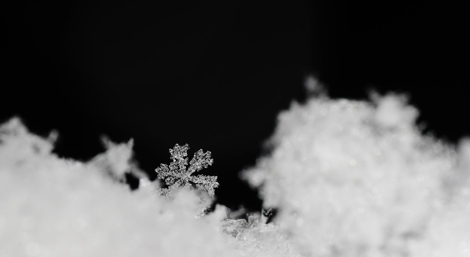 schöner schneekristall im frischen schneepanorama foto