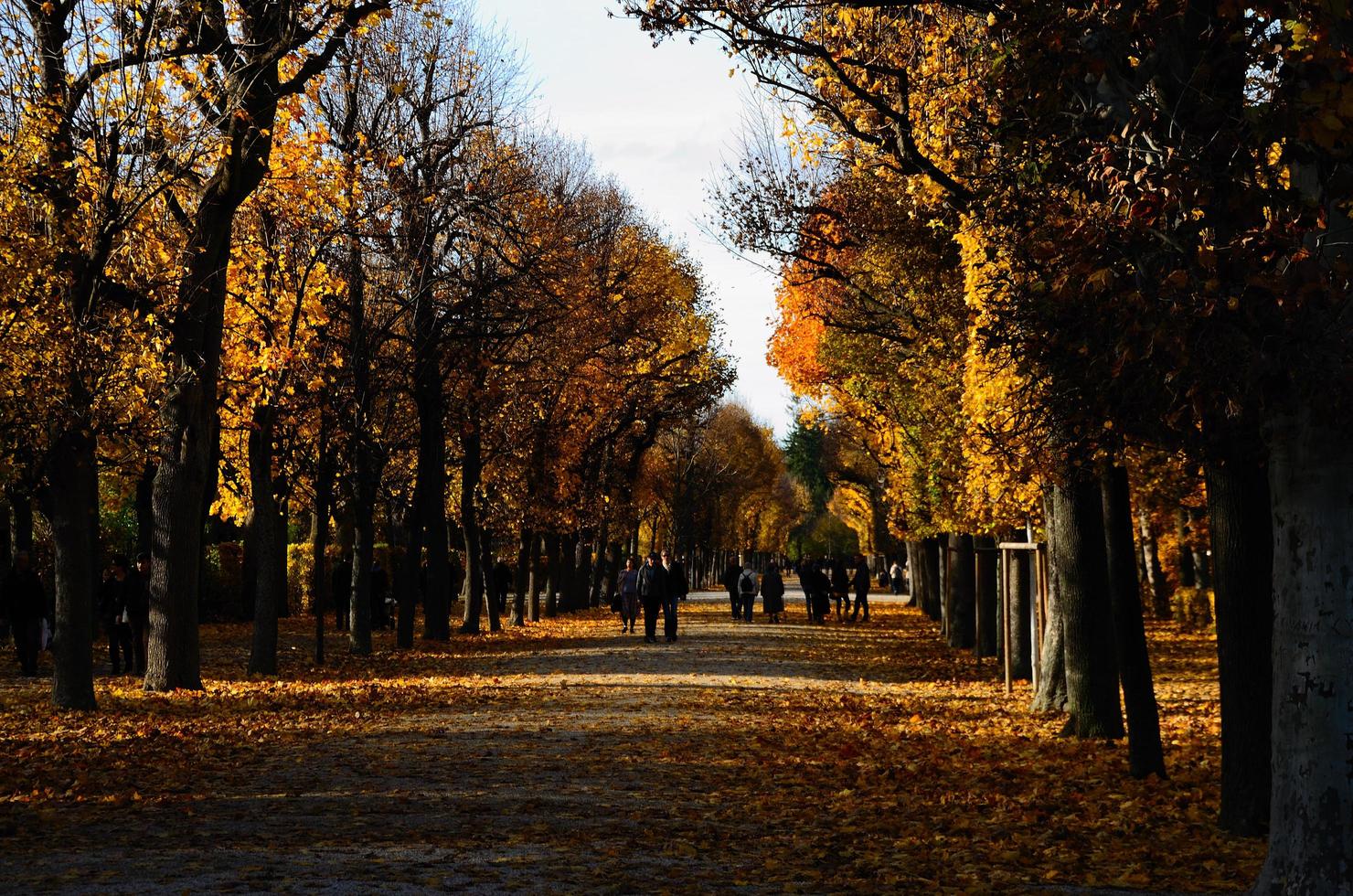 Spaziergang im Schlosspark Wien foto