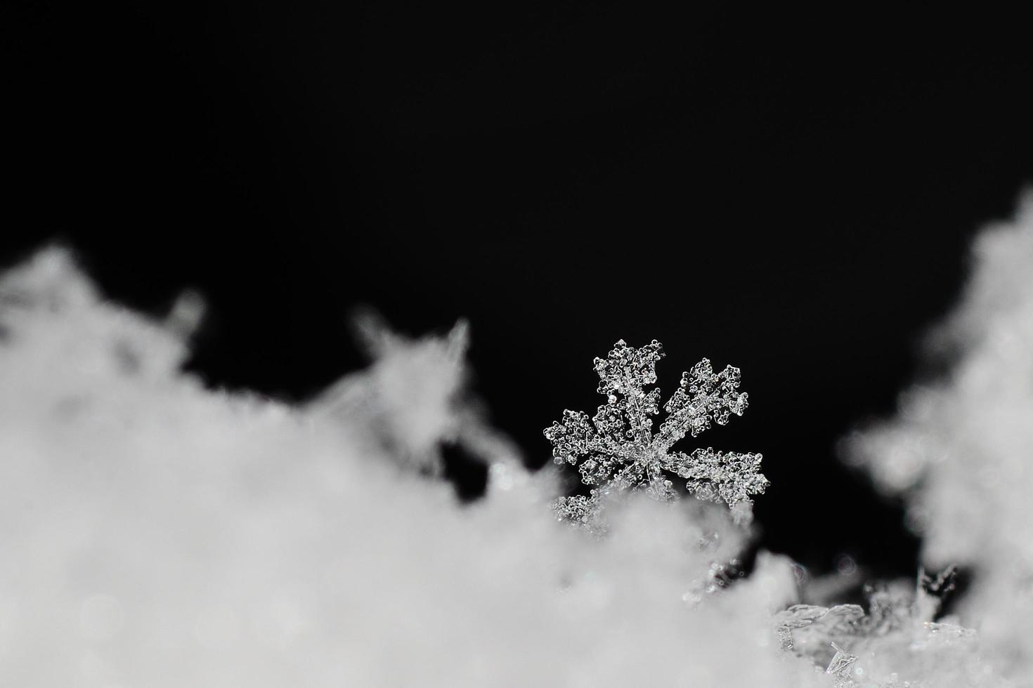 schöner klarer Schneekristall foto