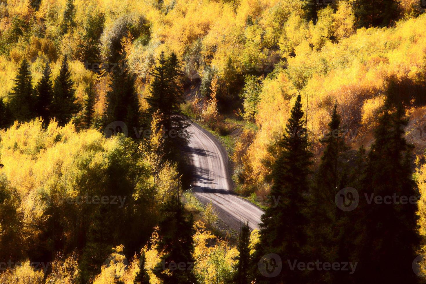 Herbstfarbene Bäume entlang der Bergstraße in Britisch-Kolumbien foto