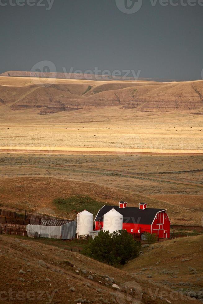 großes schlammiges Tal von Saskatchewan foto