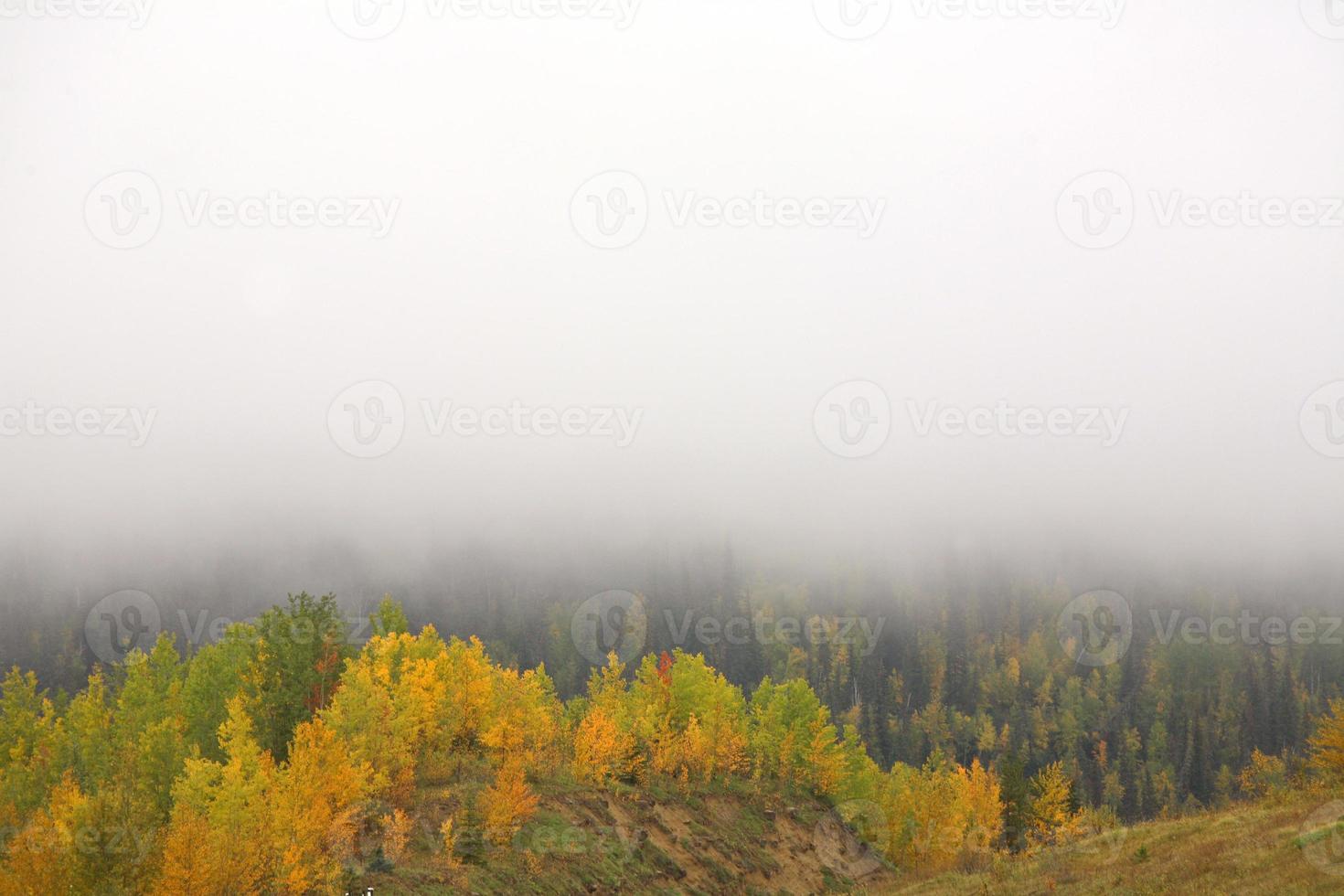 Bodennebel im malerischen Alberta foto