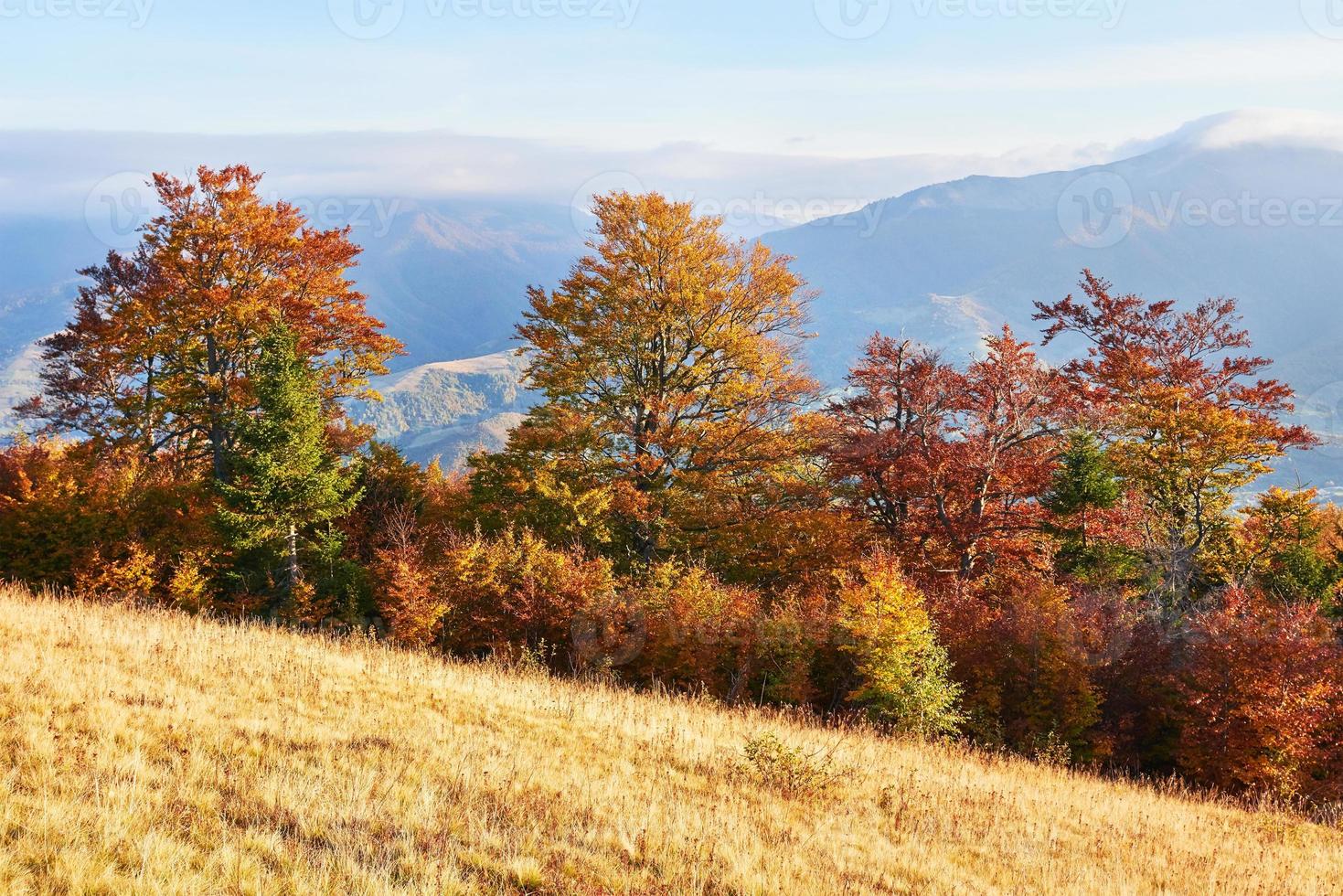 Herbst in den Bergen, erstaunliche Landschaft foto