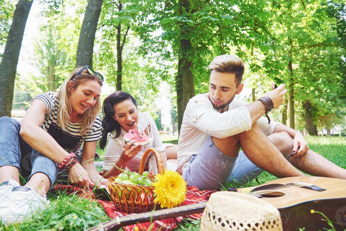 eine gruppe von freunden, die an einem sonnigen tag in einem park picknicken - leute hängen ab, haben spaß beim grillen und entspannen foto