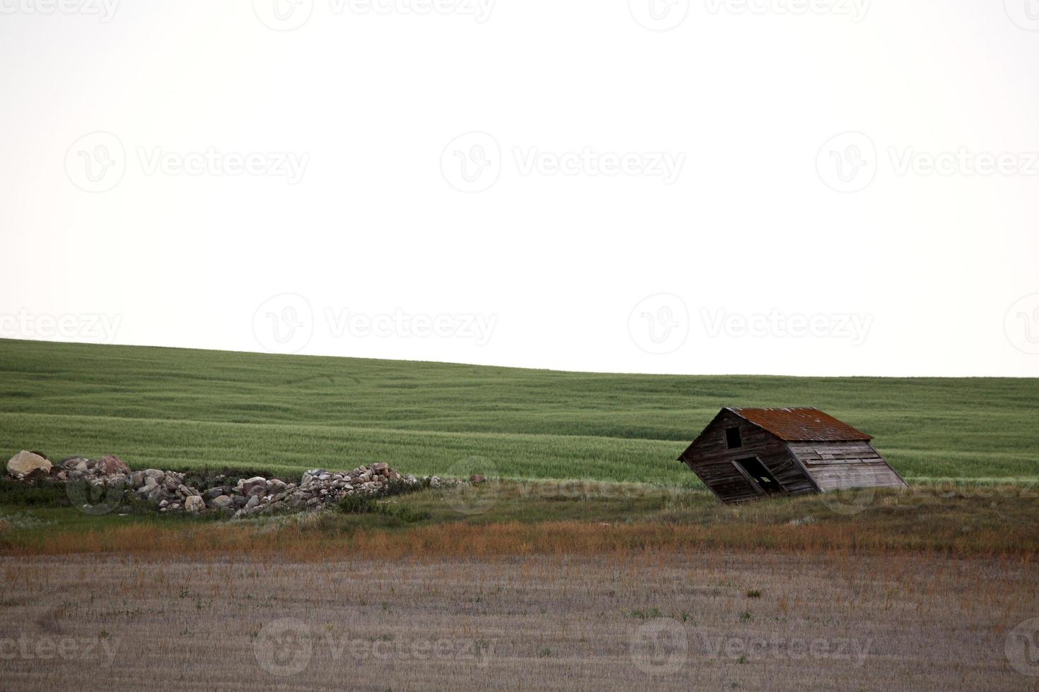 schiefer alter Getreidespeicher im malerischen Saskatchewan foto
