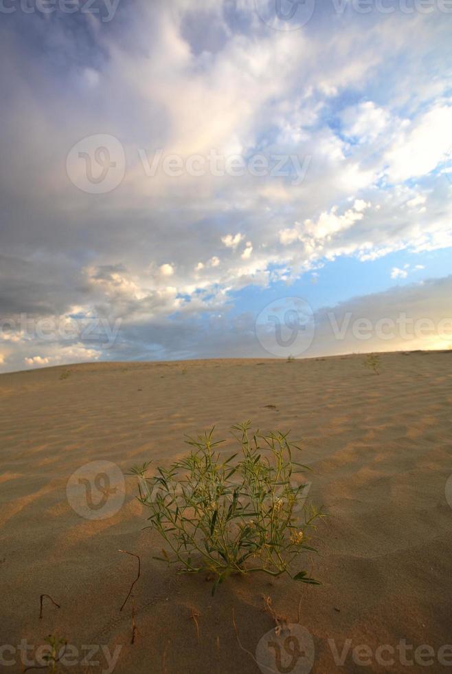 Sanddüne an großen Sandhügeln im malerischen Saskatchewan foto