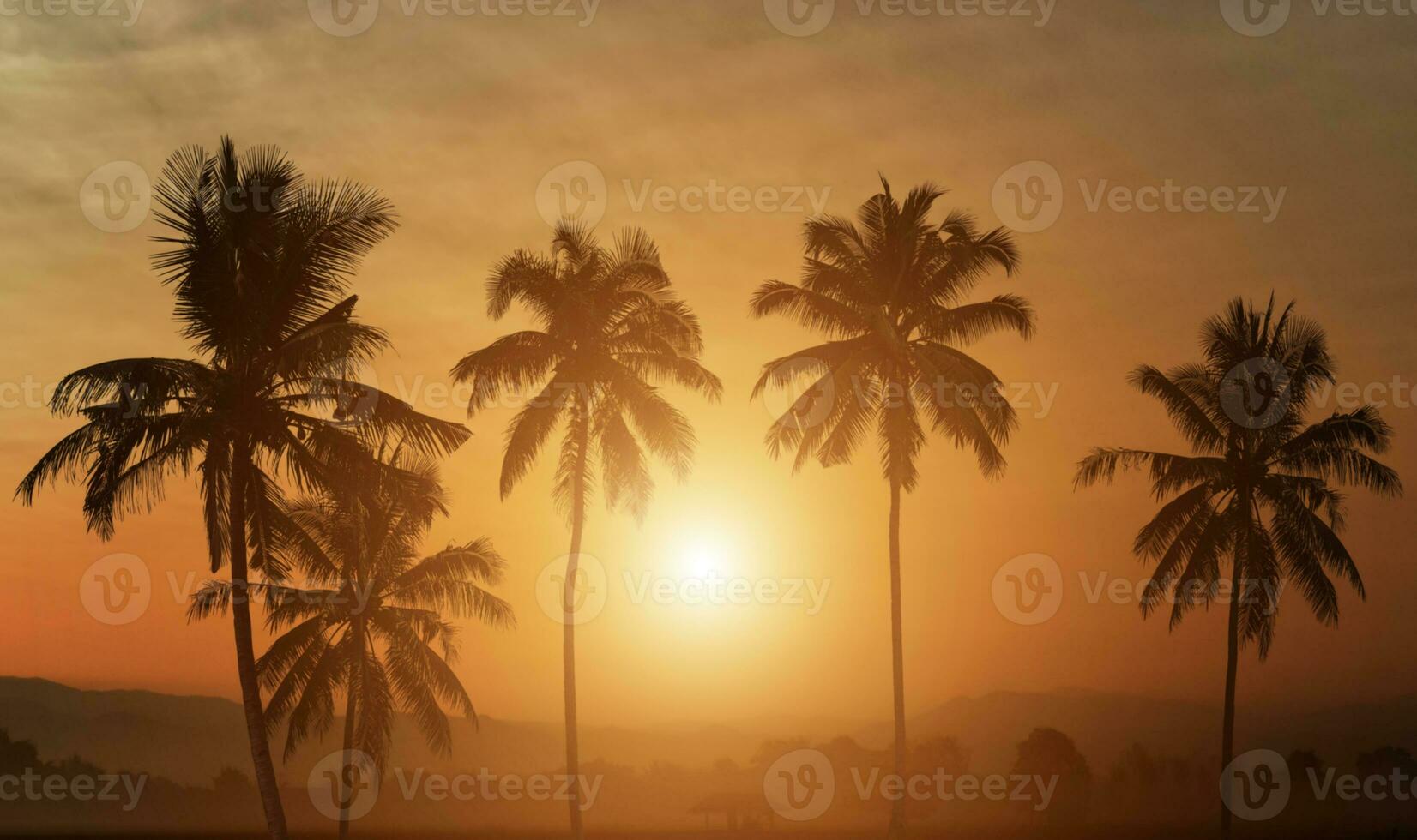 Silhouette von Palmen bei Sonnenuntergang Hintergrund. foto
