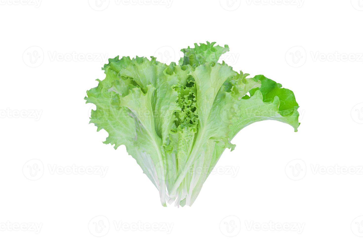 grüner Kopfsalat isoliert auf weißem Hintergrund. mit Beschneidungspfad. foto