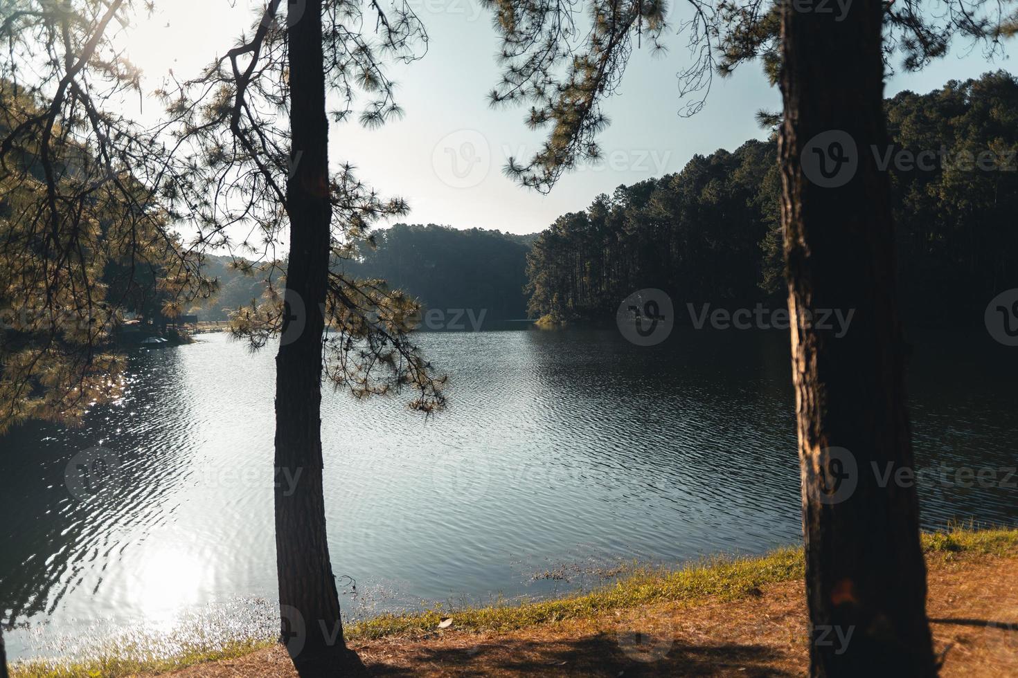 Stausee und Bäume morgens am Ruhetag foto