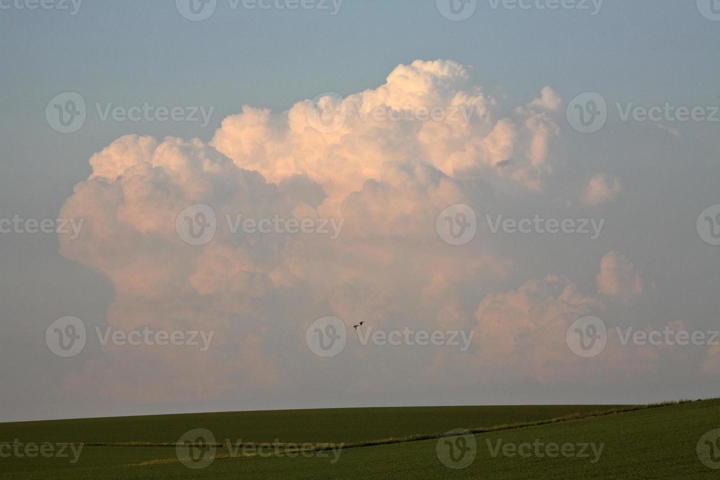 Gewitterwolken über der Landschaft von Saskatchewan foto