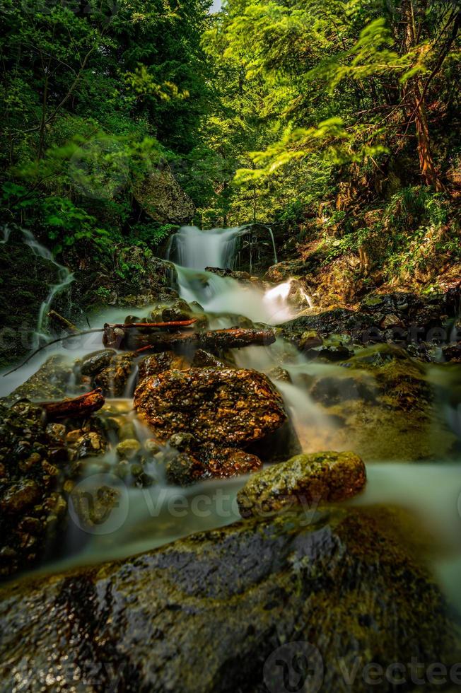 Wasserfall im Wald foto