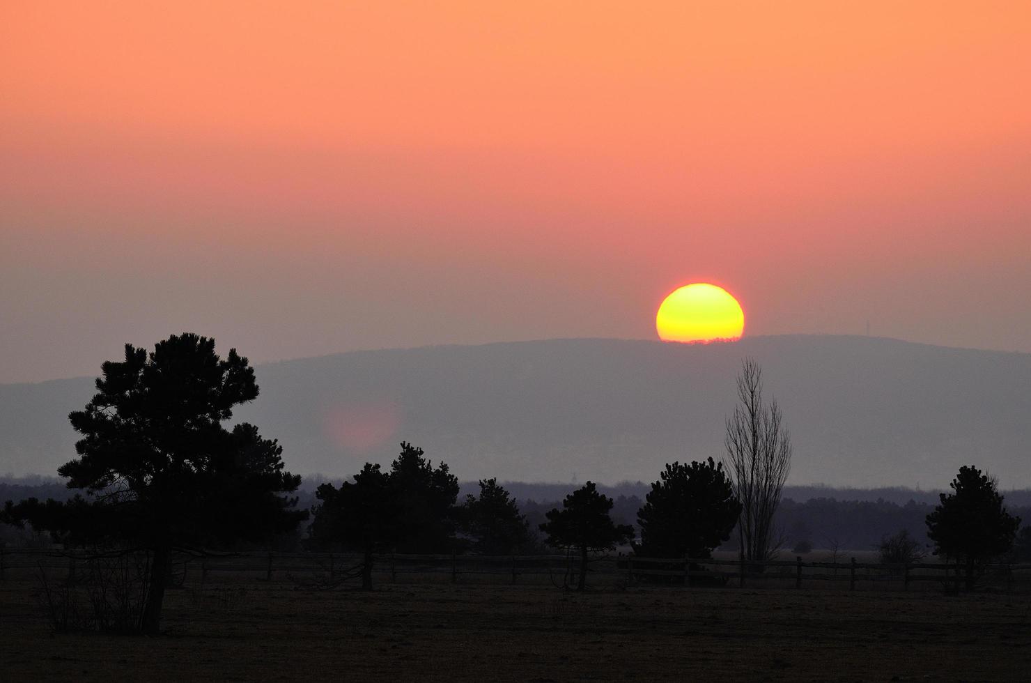 Sonnenaufgang mit Bäumen und Berg foto