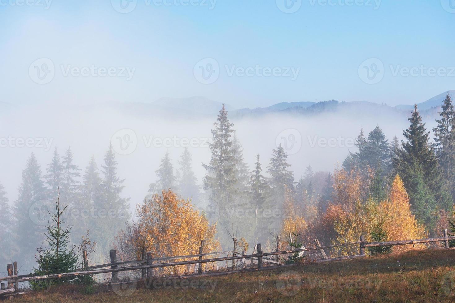 morgennebel kriecht mit fetzen über den herbstlichen bergwald, der mit goldblättern bedeckt ist foto