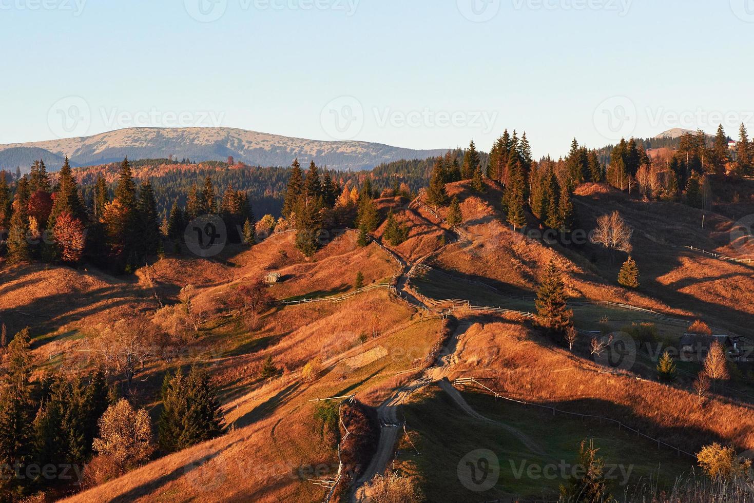 erstaunliche herbstmorgenlandschaft in den bergen mit wiese und bunten bäumen im vordergrund und nebel unter den füßen. nationaler naturpark synevyr, karpaten, ukraine. schöner Herbsthintergrund foto