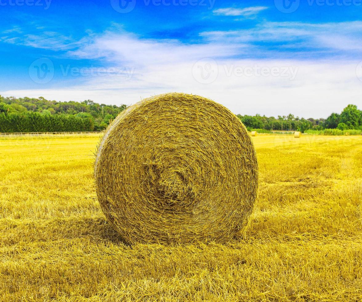 Strohballen auf dem Feld in Spanien. foto