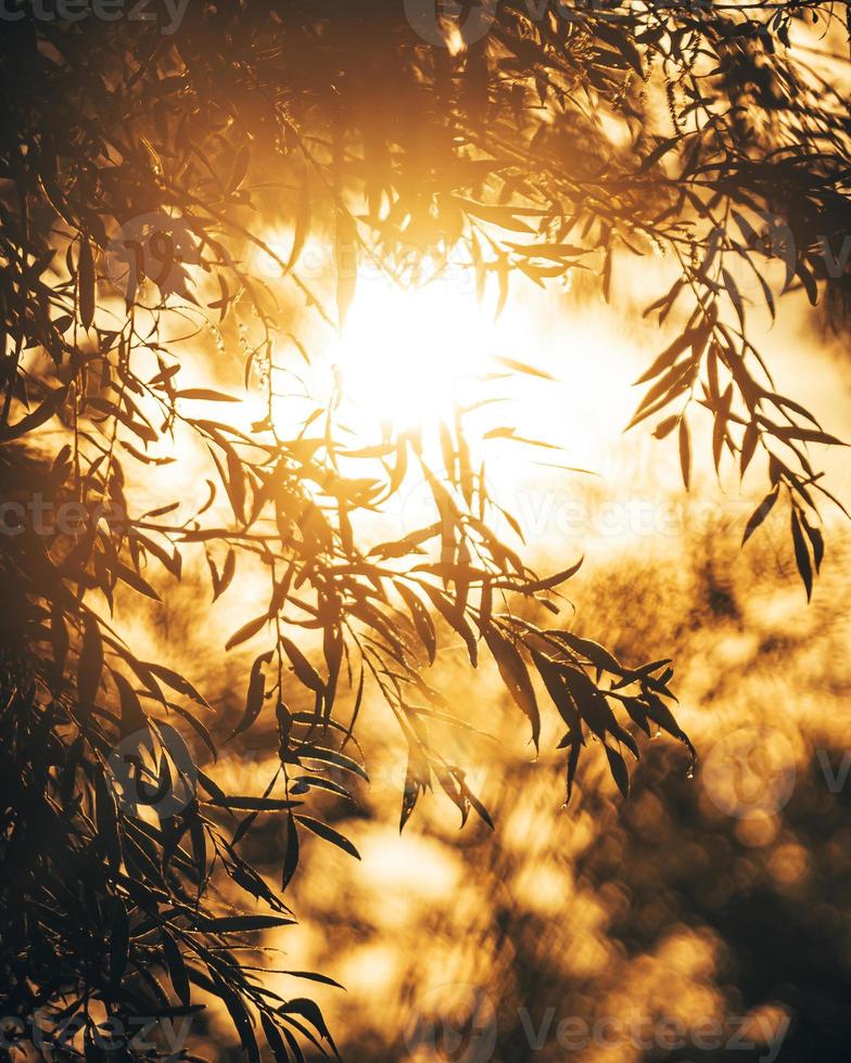 schöner sonnenunterganghintergrund foto