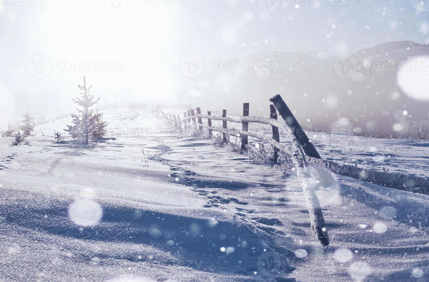 Winterlandschaft Bäume und Zaun im Rauhreif, Hintergrund mit einigen weichen Highlights und Schneeflocken. Frohes neues Jahr foto