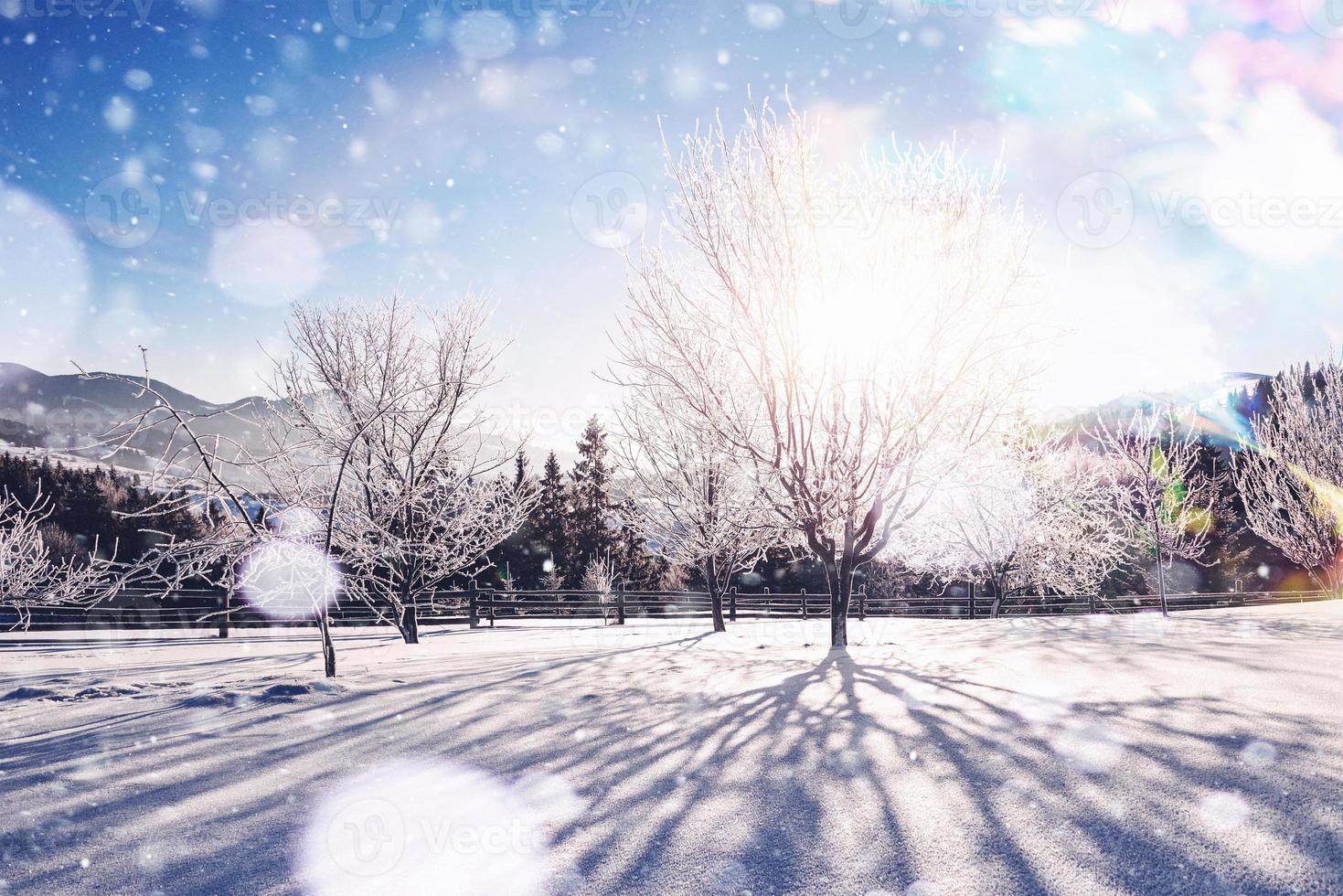 Winterlandschaft Bäume und Zaun im Rauhreif, Hintergrund mit einigen weichen Highlights und Schneeflocken. Frohes neues Jahr foto