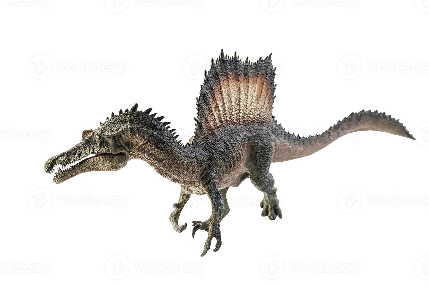 Spinosaurus, Dinosaurier auf weißem Hintergrund. foto