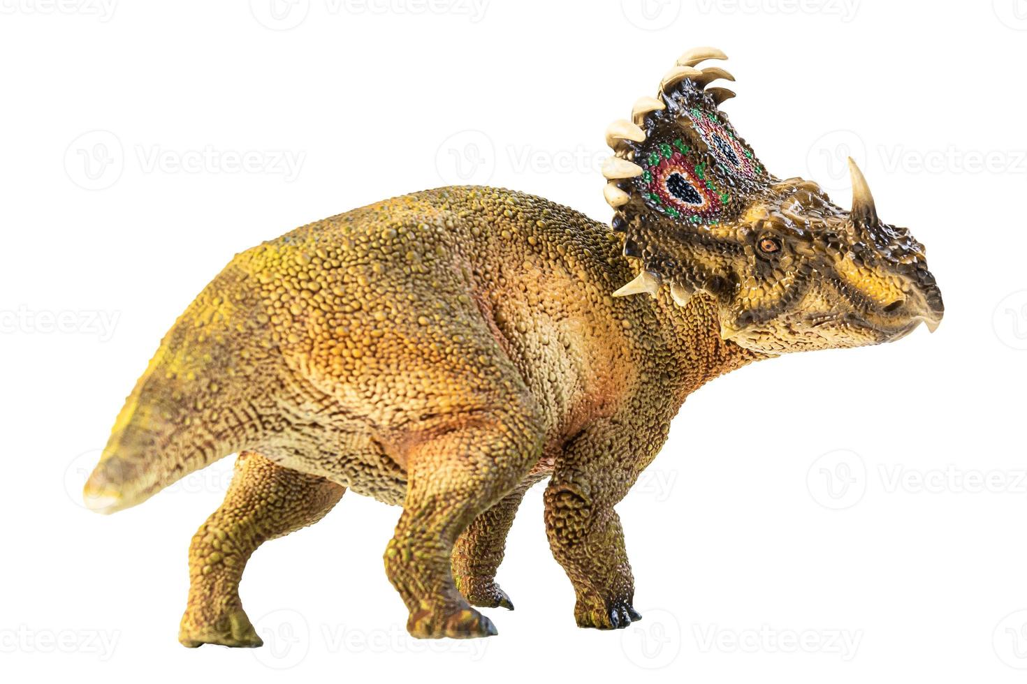 Sinoceratops, Dinosaurier auf weißem Hintergrund. foto