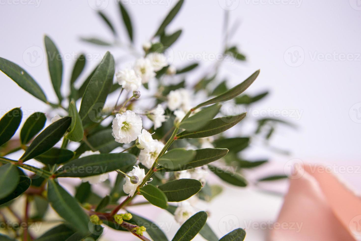 Umschlag auf einem weiß-rosa Hintergrund mit pfirsichfarbenem Seidenband und rosa Blumen. Hochzeitseinladung. Karte zum Muttertag. Platz für Texte. Platz kopieren foto