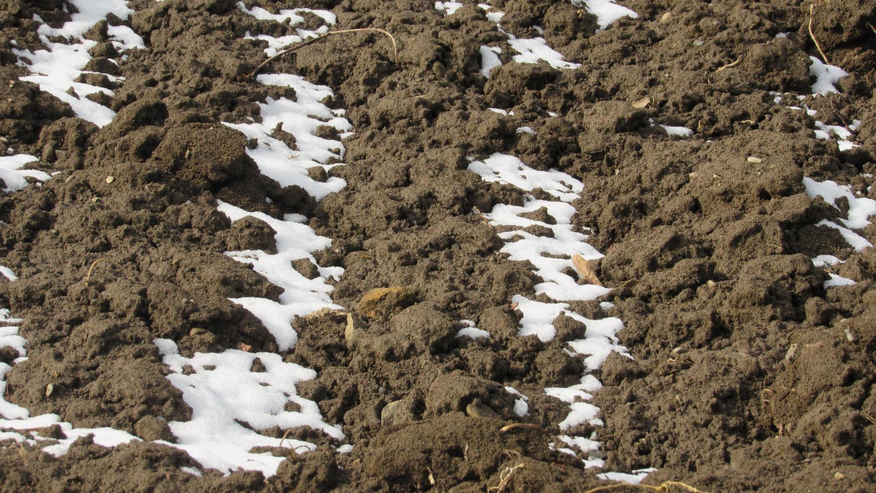 der Schnee schmilzt auf dem Boden. gepflügter Boden. Das Feld ist bereit für die landwirtschaftliche Arbeit. schwarze Erde. landwirtschaftliches Feld foto