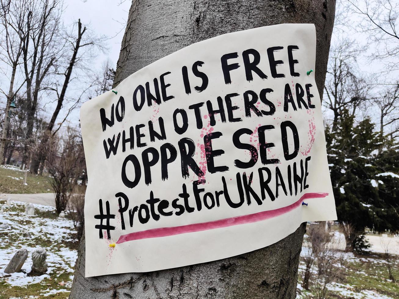 Sarajewo, geboren am 09.03.2022. ukraine protestiert zeichen. niemand ist frei, bis andere unterdrückt werden. Proteste gegen den Krieg. Stoppe den Krieg. Ukraine-Russland-Konflikt. Solidarität mit den Menschen in der Ukraine. foto