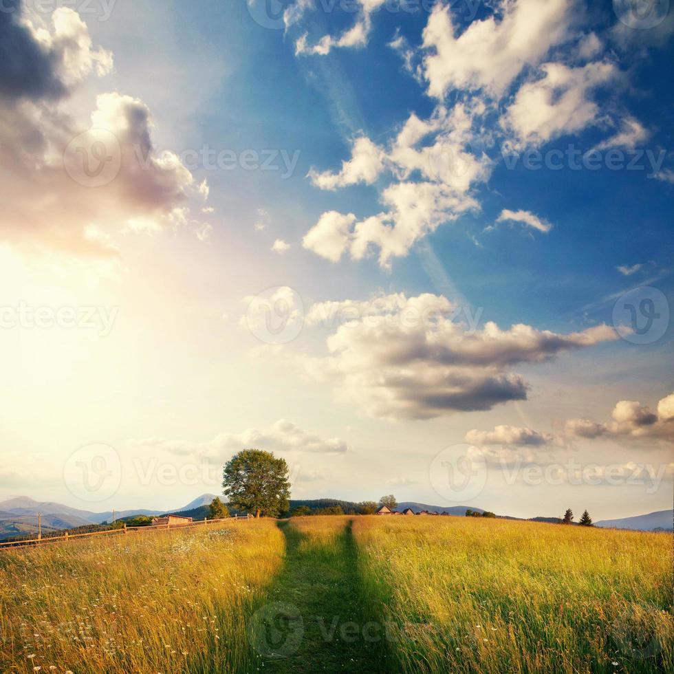 fantastischer sonniger tag ist in der berglandschaft. Karpaten, Ukraine foto