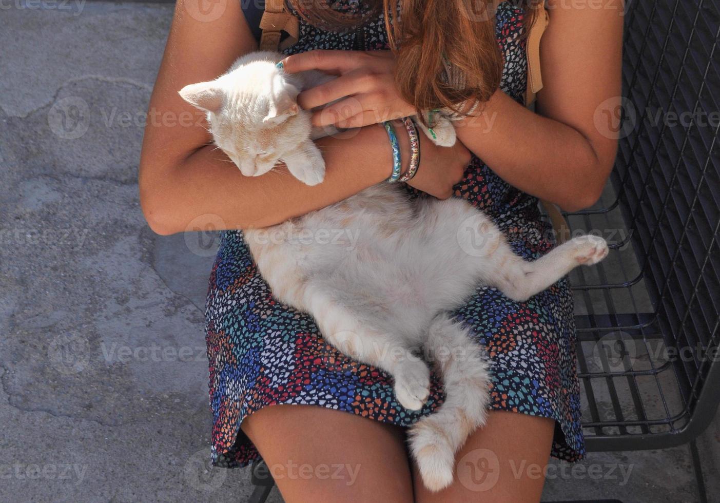 nicht erkennbare frau, die katze hält foto