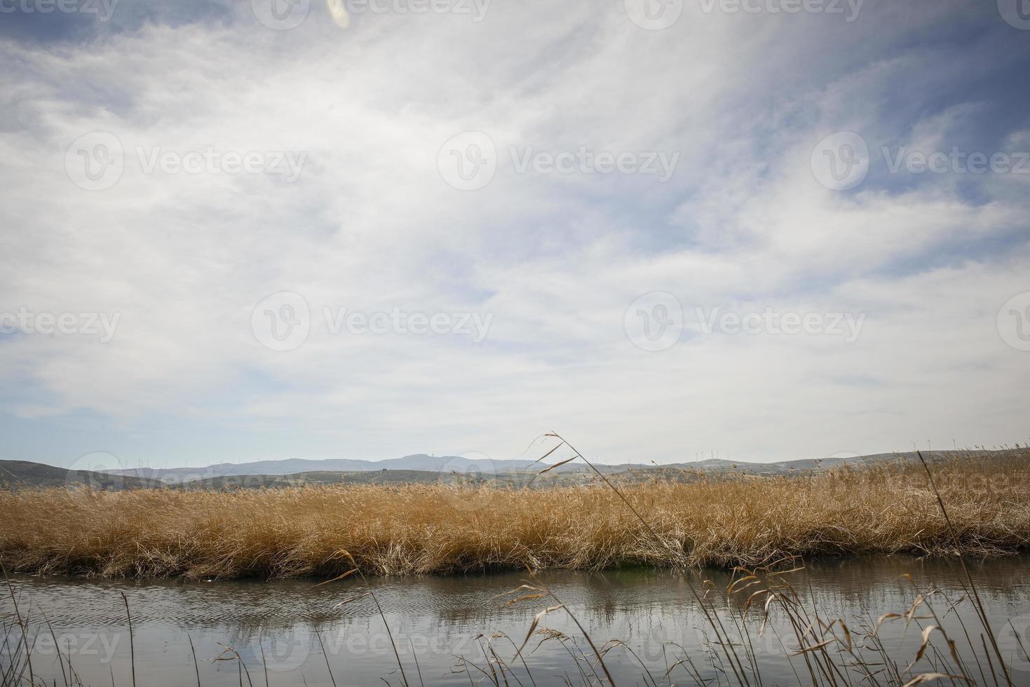 Feuchtgebiete mit Sumpfvegetation in Padul foto