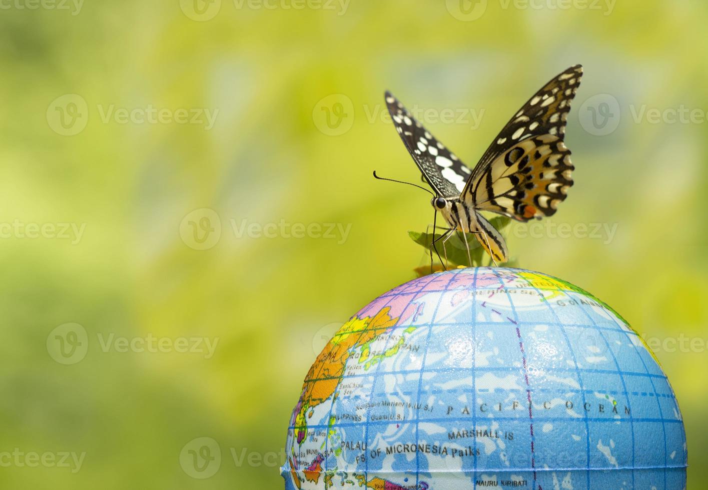 Monarchfalterdanaus plexippus fliegen auf der Welt foto