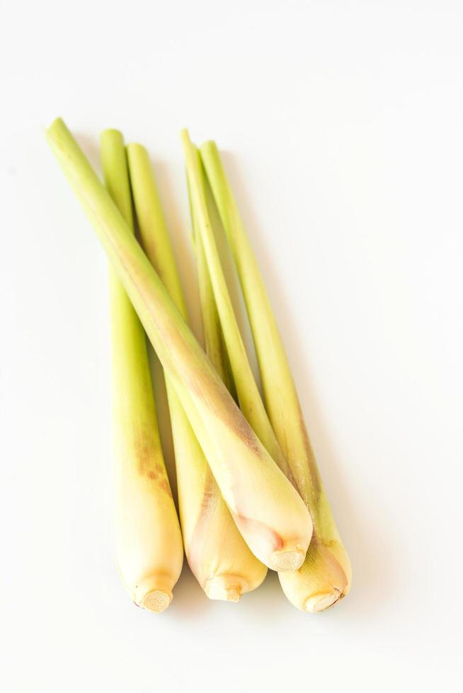 frisches Zitronengras auf weißem Hintergrund foto