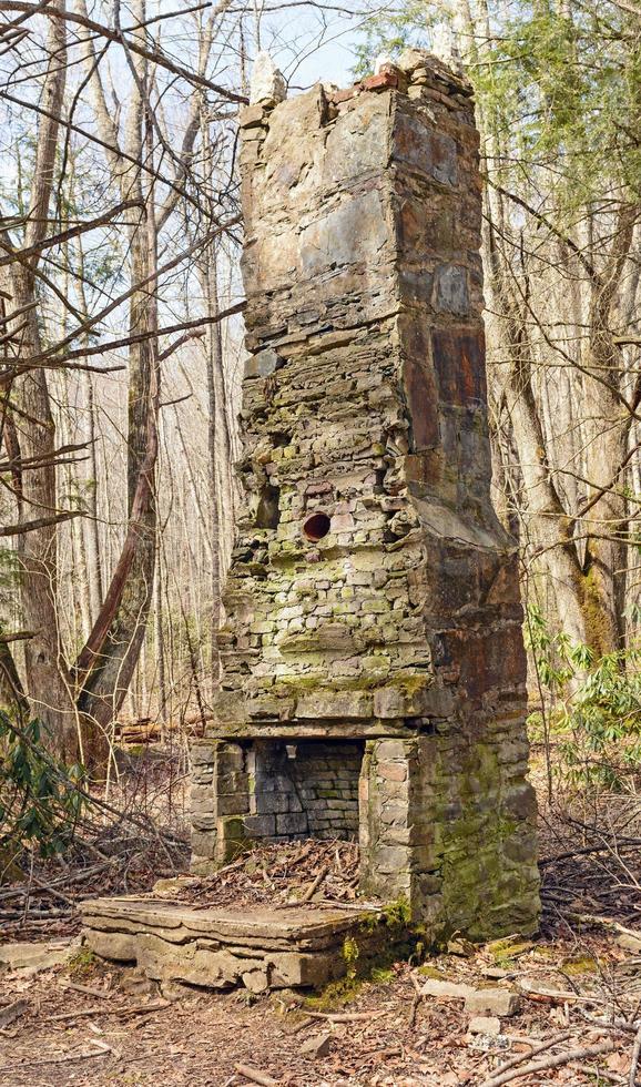 Ruinen eines alten Schornsteins in der Wildnis foto