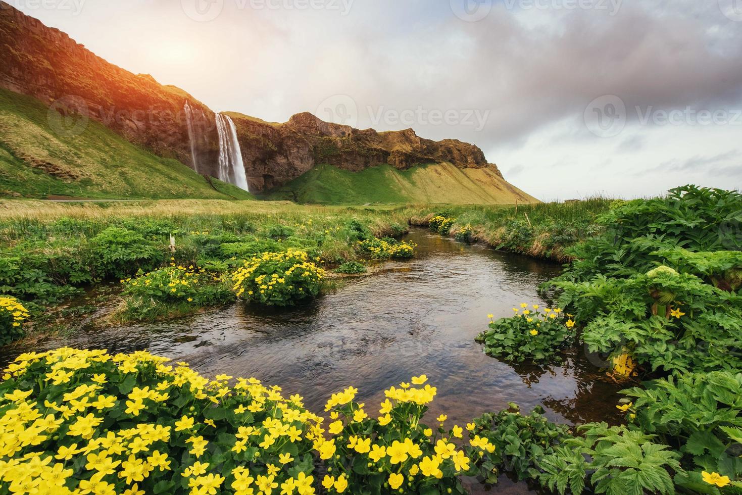 Seljalandfoss-Wasserfall. schöner sonniger sommertag foto