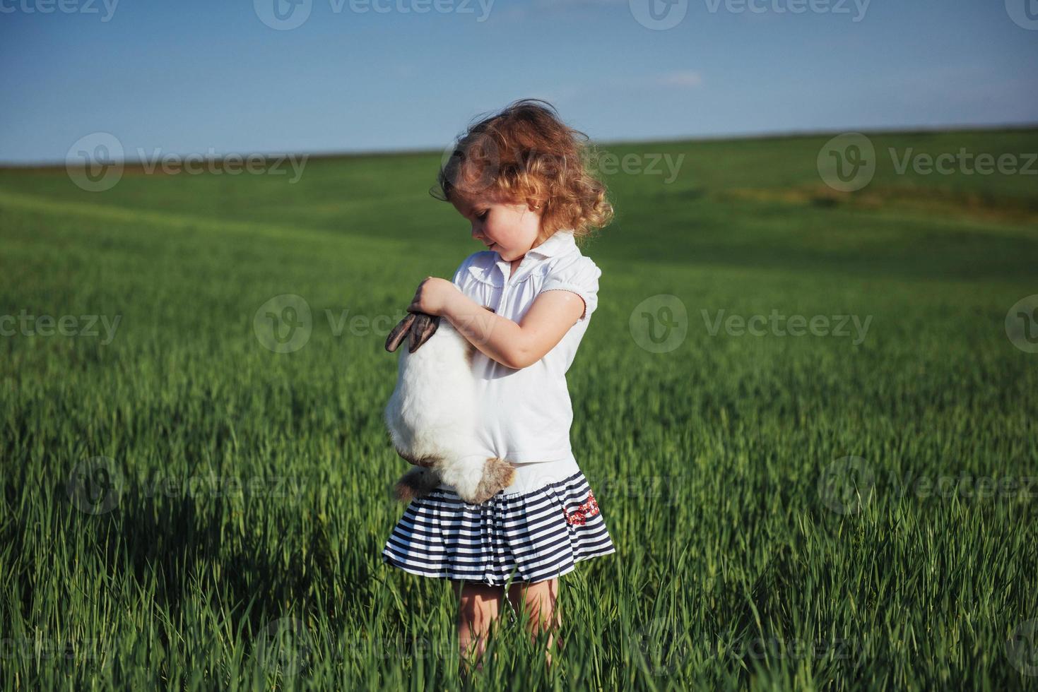 Baby-Kaninchen in einem Feld mit grünem Weizen foto