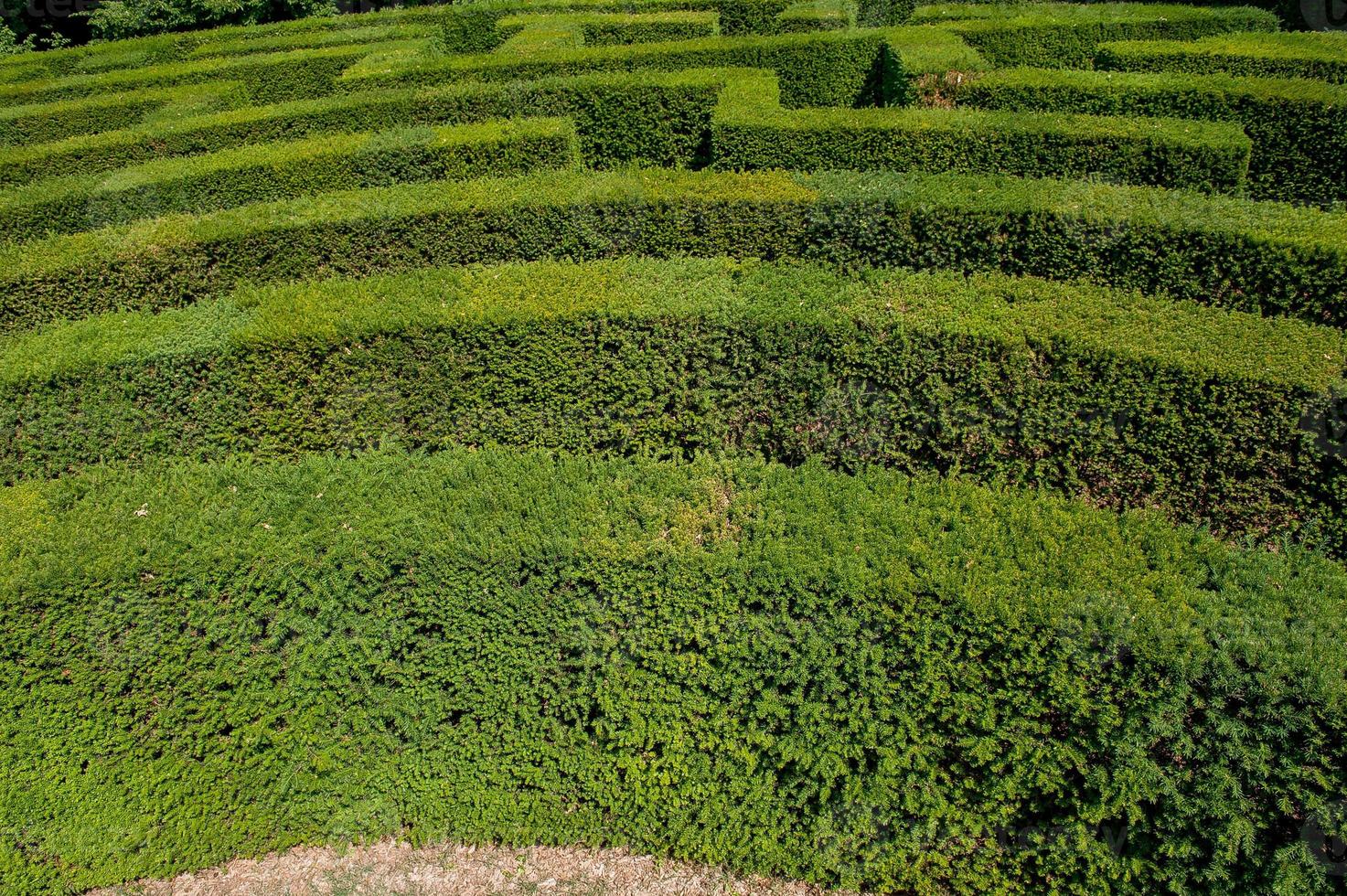 Labyrinth im Botanischen Garten foto