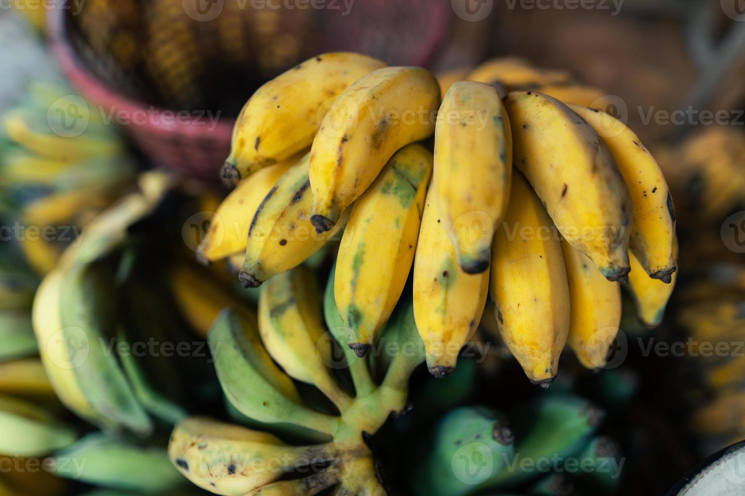 kultivierte Banane zur Verarbeitung, Banane in der Hand des Verkäufers foto