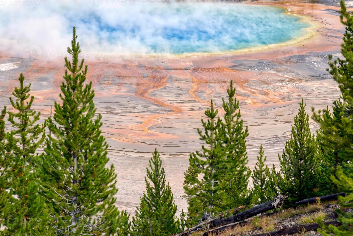 großer prismatischer Frühling im Yellowstone-Nationalpark foto