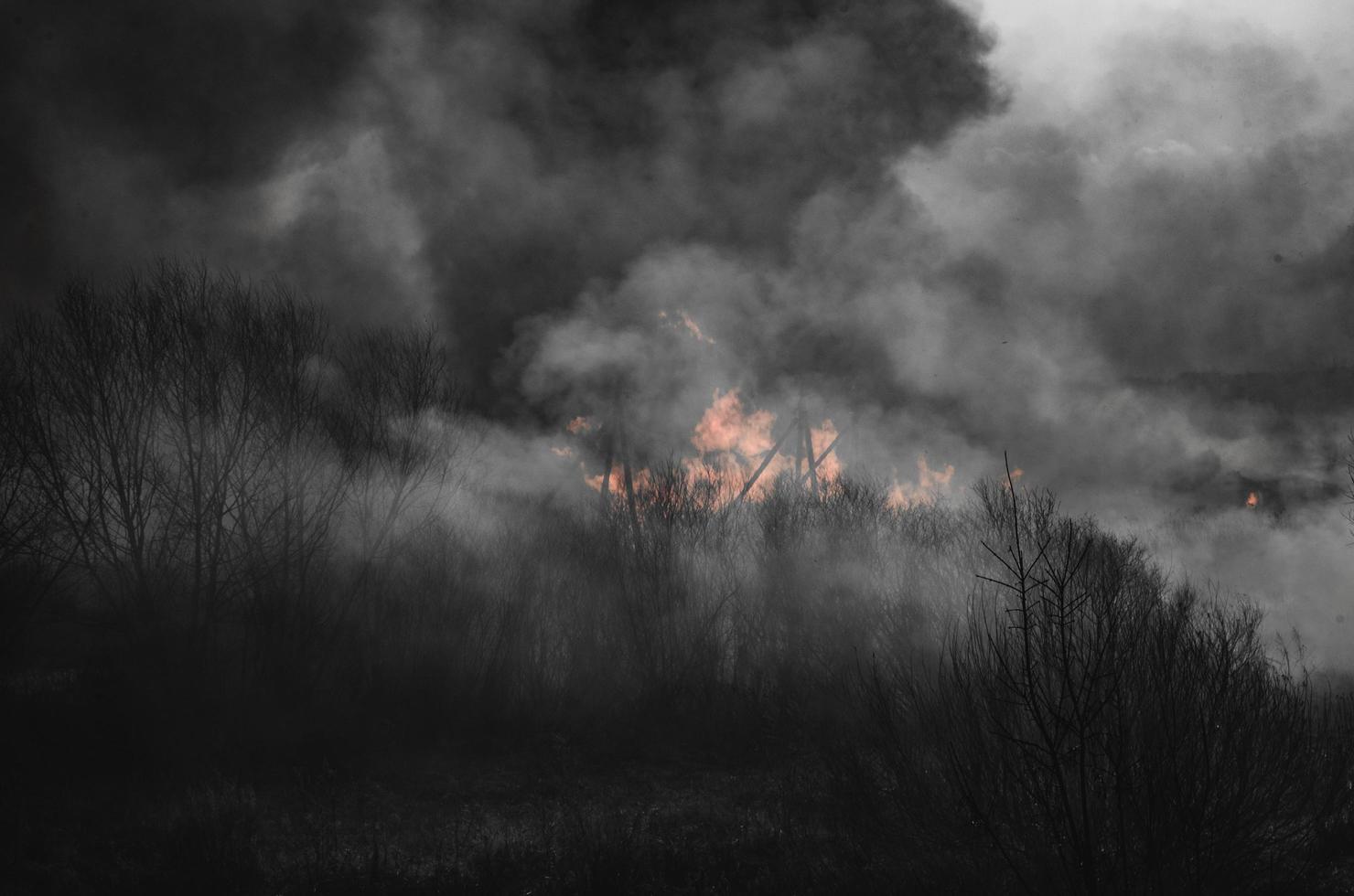 starkes Feuer und Rauch, Gras und Schilf in Flammen. schwarzer Rauch. foto