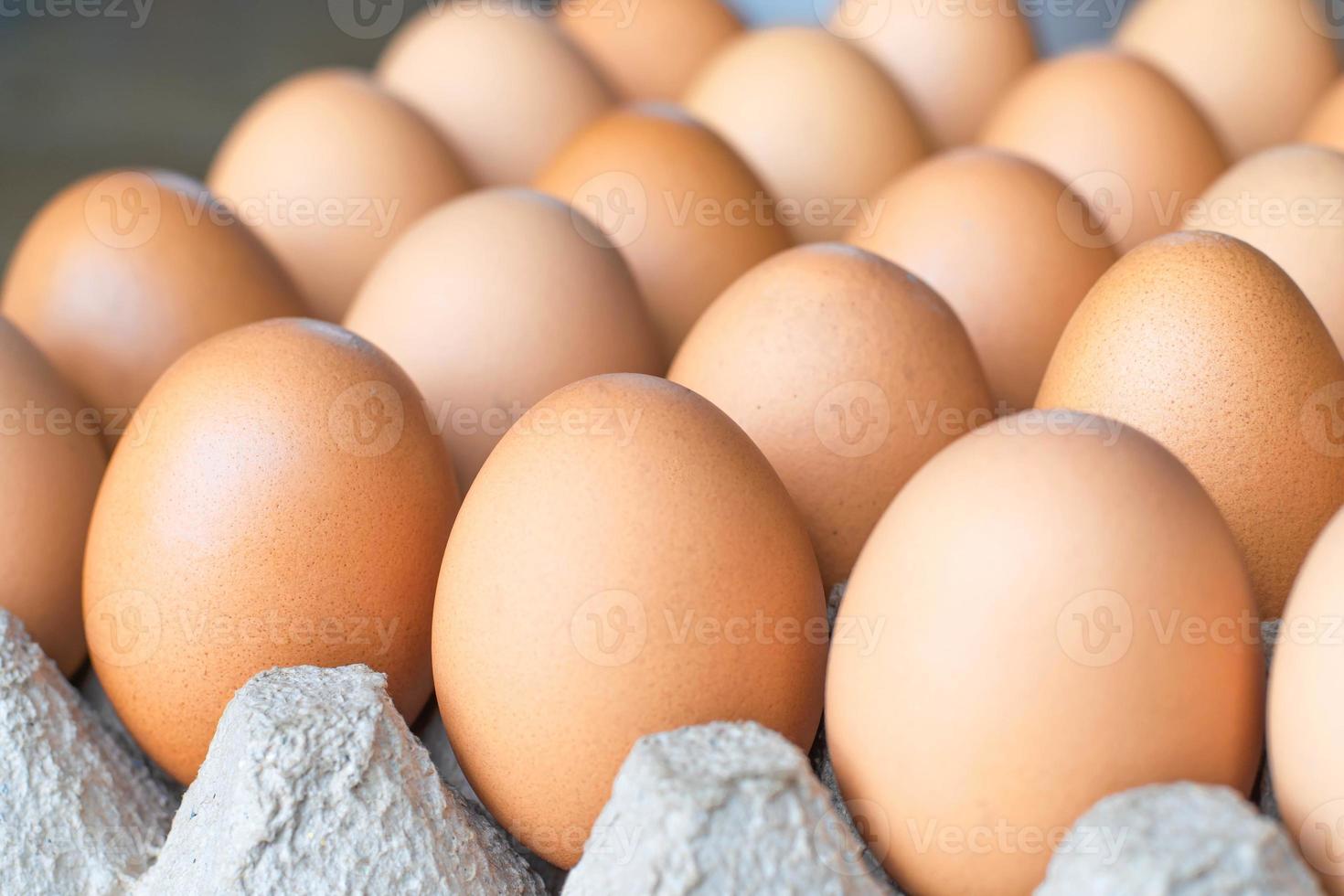 frische Eier zum Kochen vom Hof foto