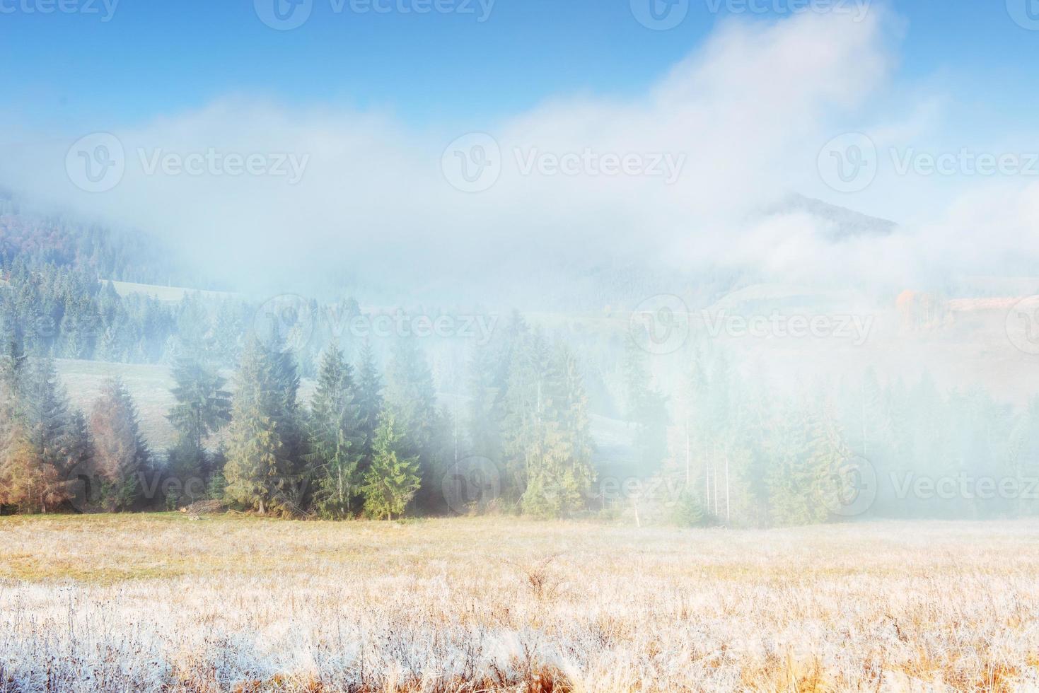 winterlandschaft, die durch sonnenlicht leuchtet. dramatische Szene. malerischer Nebel foto